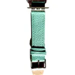 <b>MONACO</b> <br><small>Apple Watch leather strap turquoise</small>