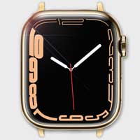 Apple Watch Edelstahl Gold Armband Finder vild