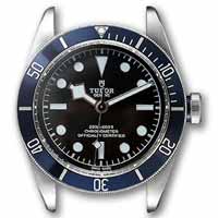 Tudor Heritage Black Bay blue watch case